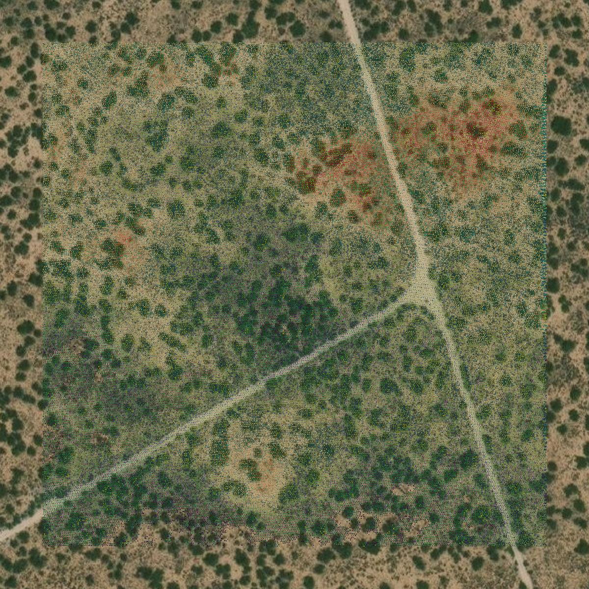 This image shows a LiDAR point cloud in Winkler County created using GIS data in Equator.