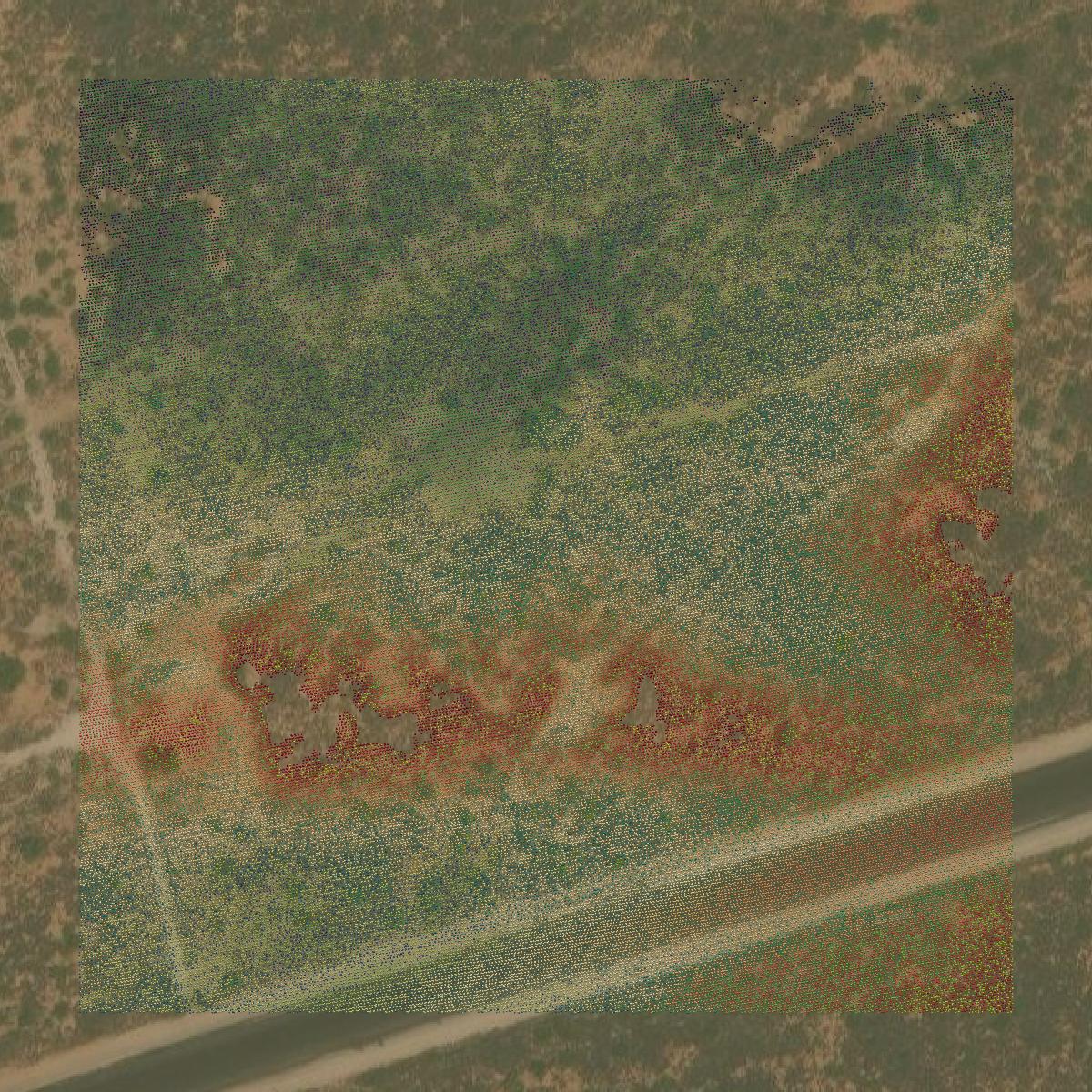 This image shows a LiDAR point cloud in Winkler County created using GIS data in Equator.