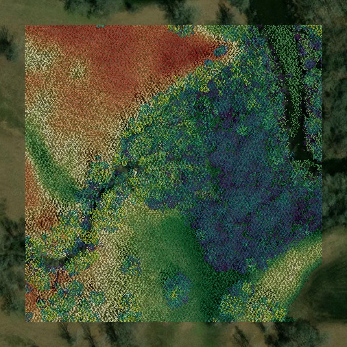 This image shows a LiDAR point cloud in Wood County created using GIS data in Equator.