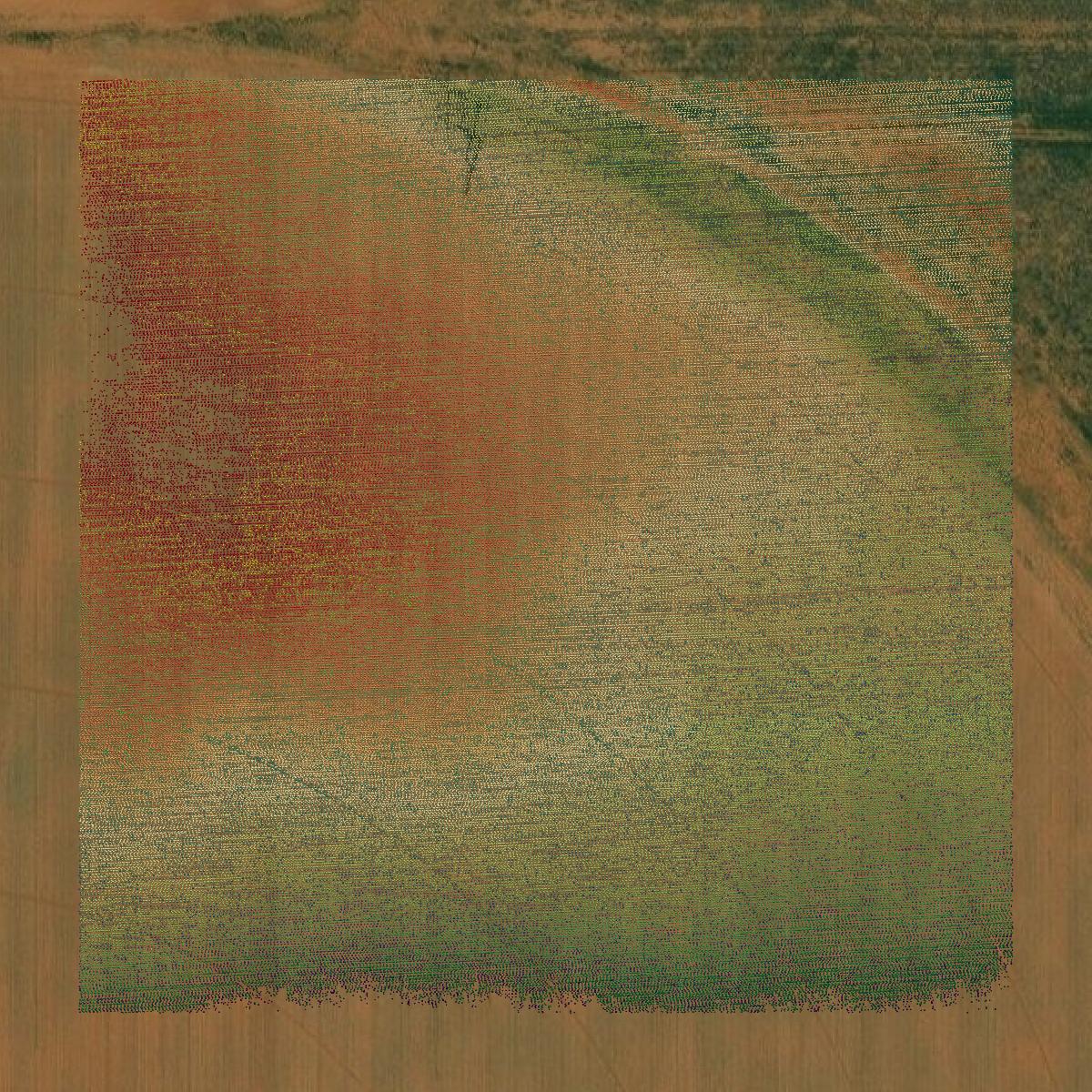 This image shows a LiDAR point cloud in Yoakum County created using GIS data in Equator.