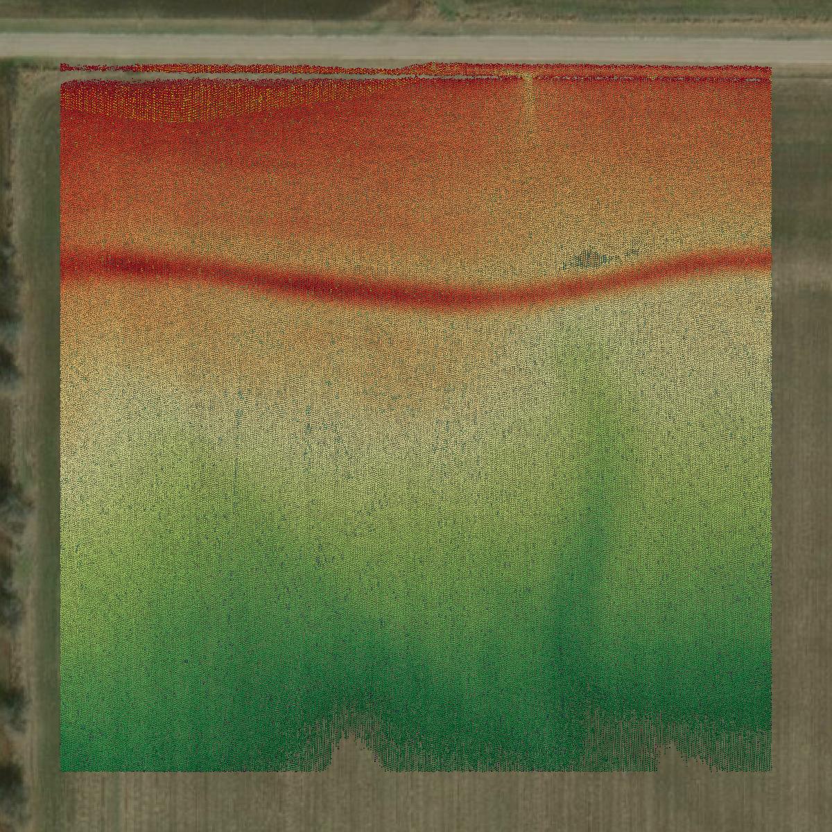 This image shows a LiDAR point cloud in Young County created using GIS data in Equator.
