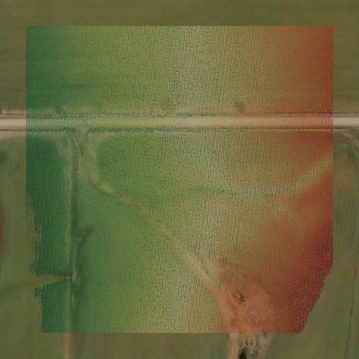 This image shows a LiDAR point cloud in Young County created using GIS data in Equator.