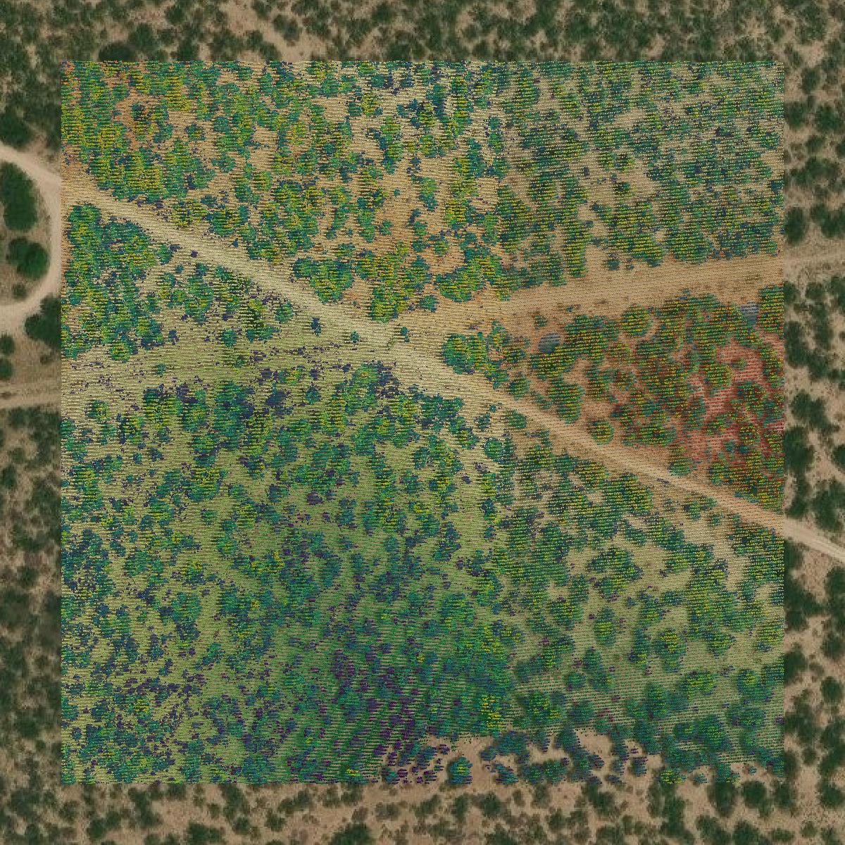 This image shows a LiDAR point cloud in Zapata County created using GIS data in Equator.