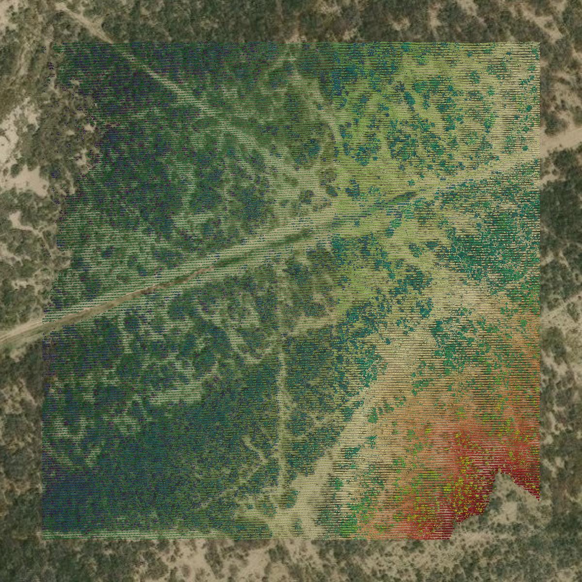 This image shows a LiDAR point cloud in Zapata County created using GIS data in Equator.