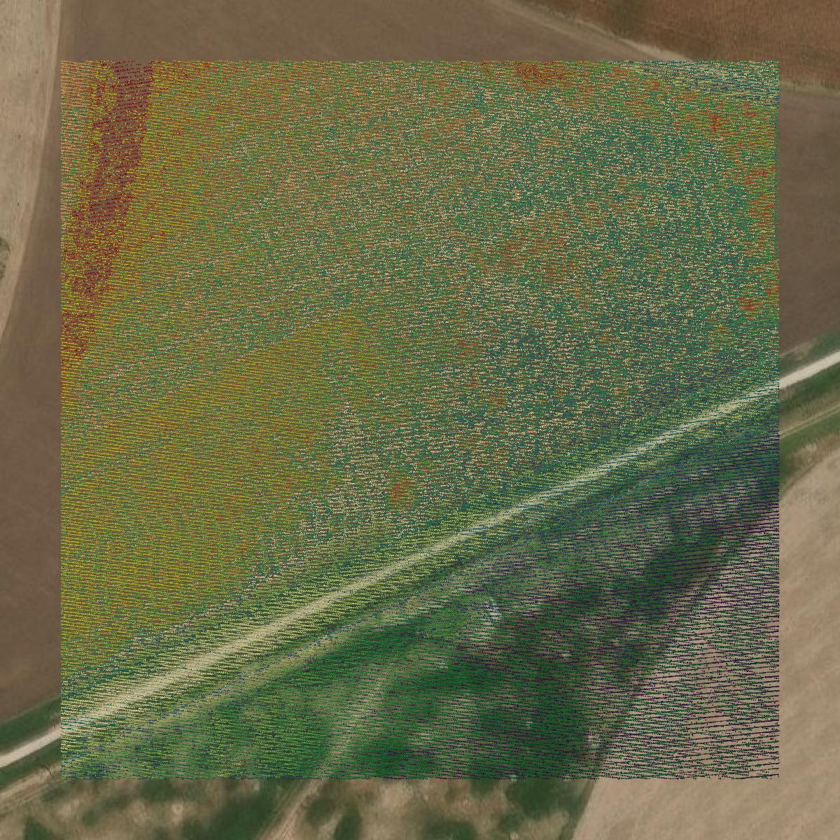 This image shows a LiDAR point cloud in Zavala County created using GIS data in Equator.