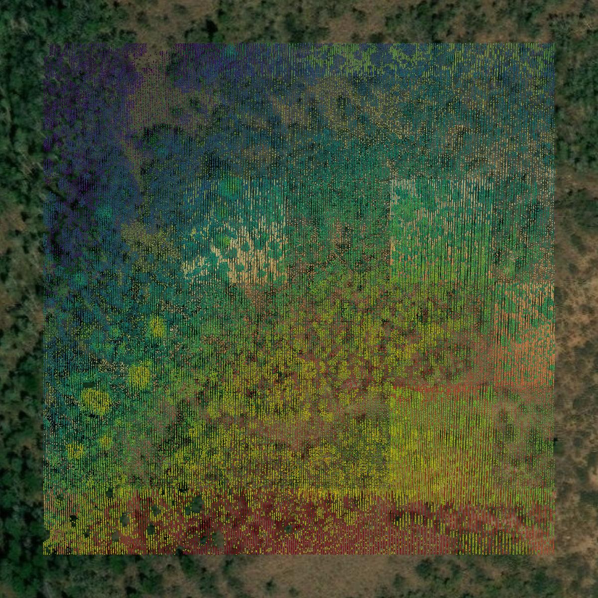 This image shows a LiDAR point cloud in Carbon County created using GIS data in Equator.