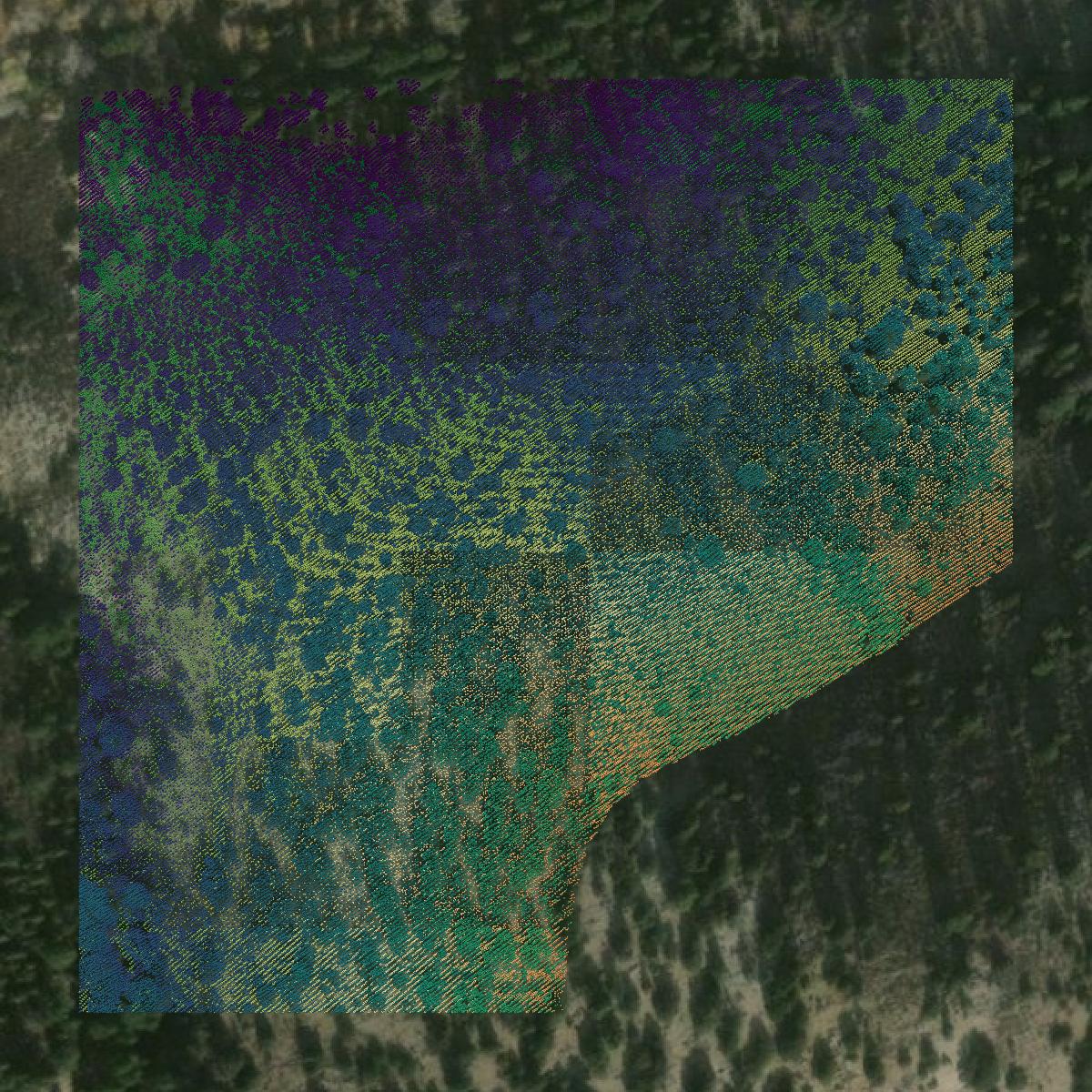 This image shows a LiDAR point cloud in Carbon County created using GIS data in Equator.
