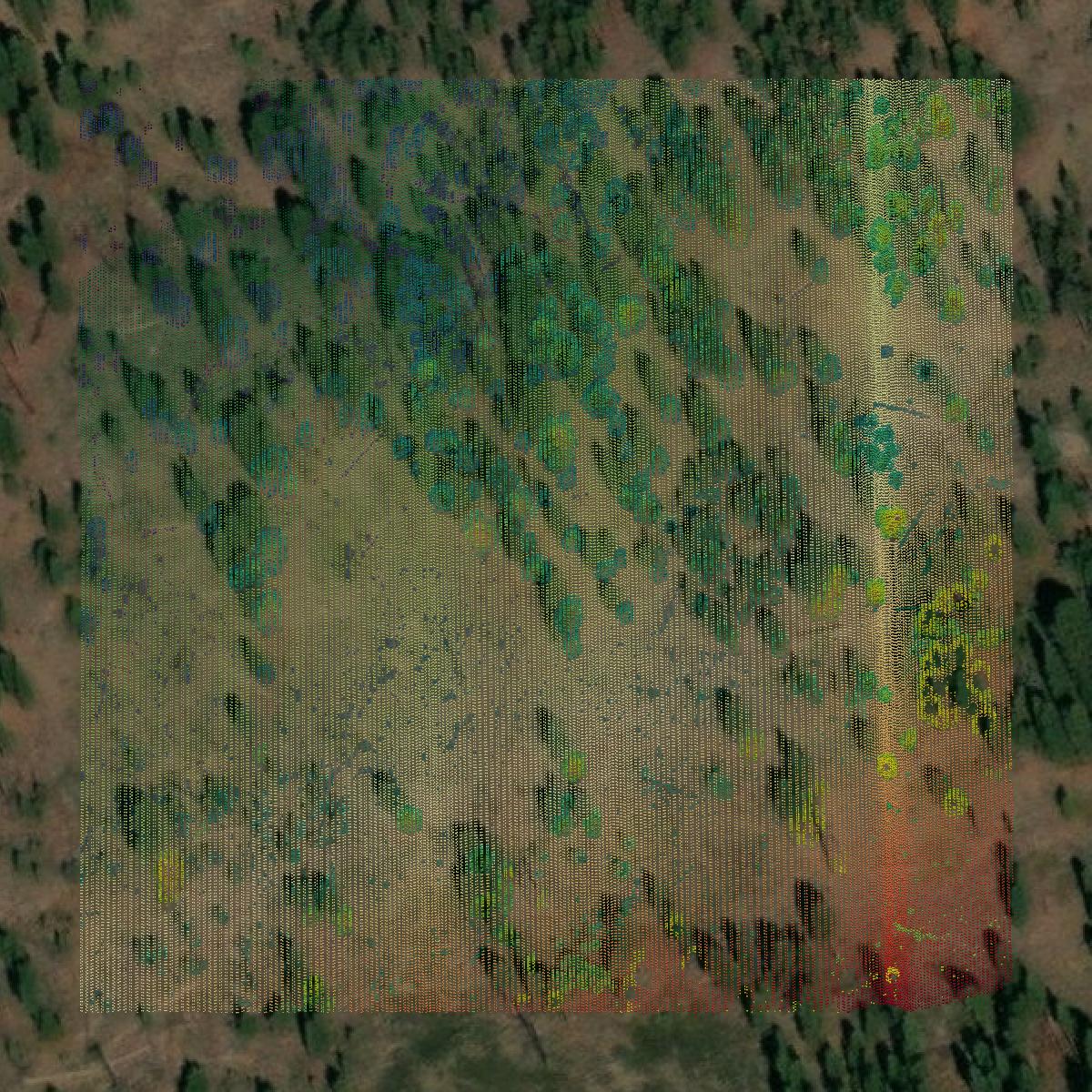 This image shows a LiDAR point cloud in Daggett County created using GIS data in Equator.