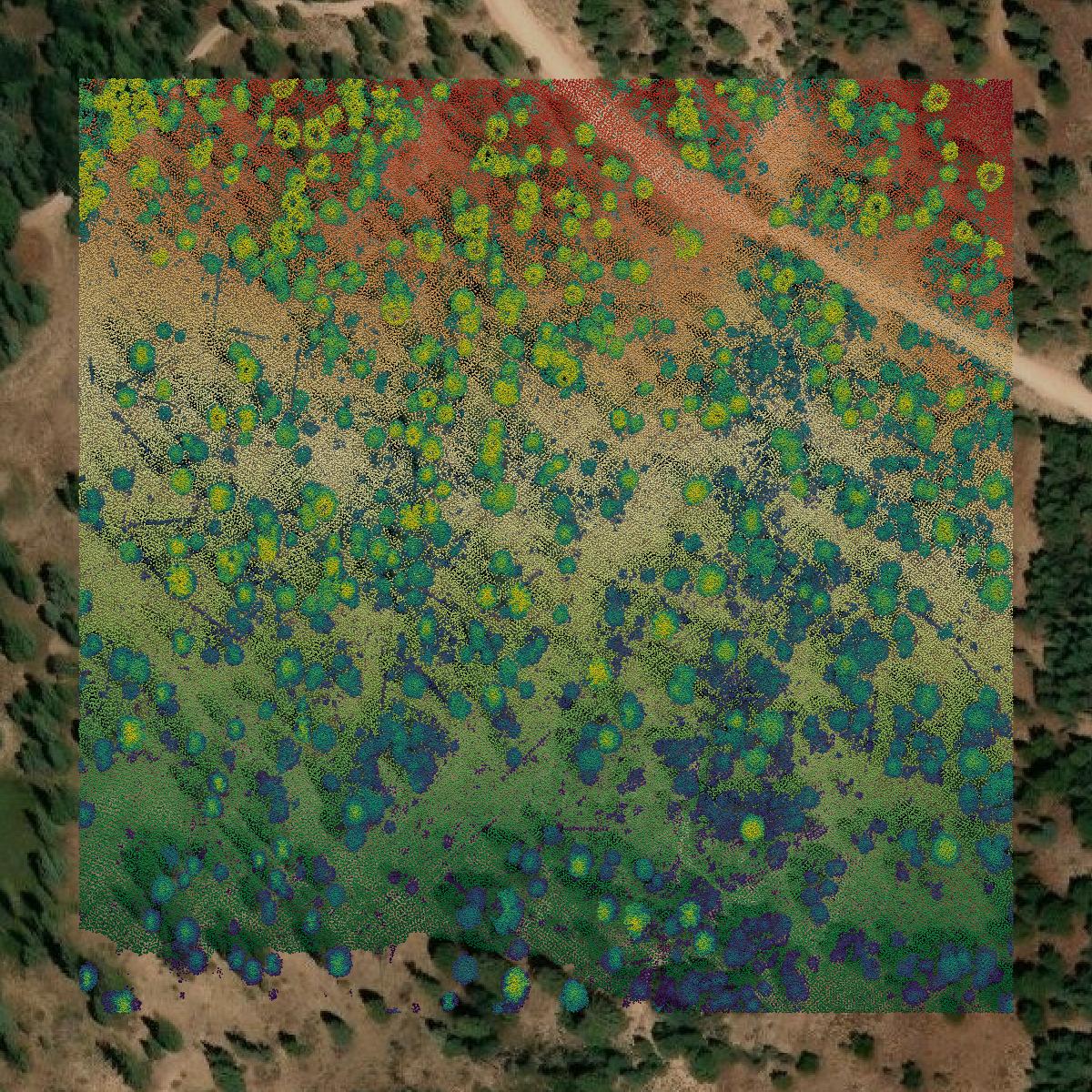 This image shows a LiDAR point cloud in Kane County created using GIS data in Equator.