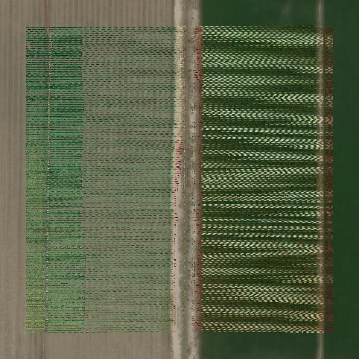 This image shows a LiDAR point cloud in Millard County created using GIS data in Equator.