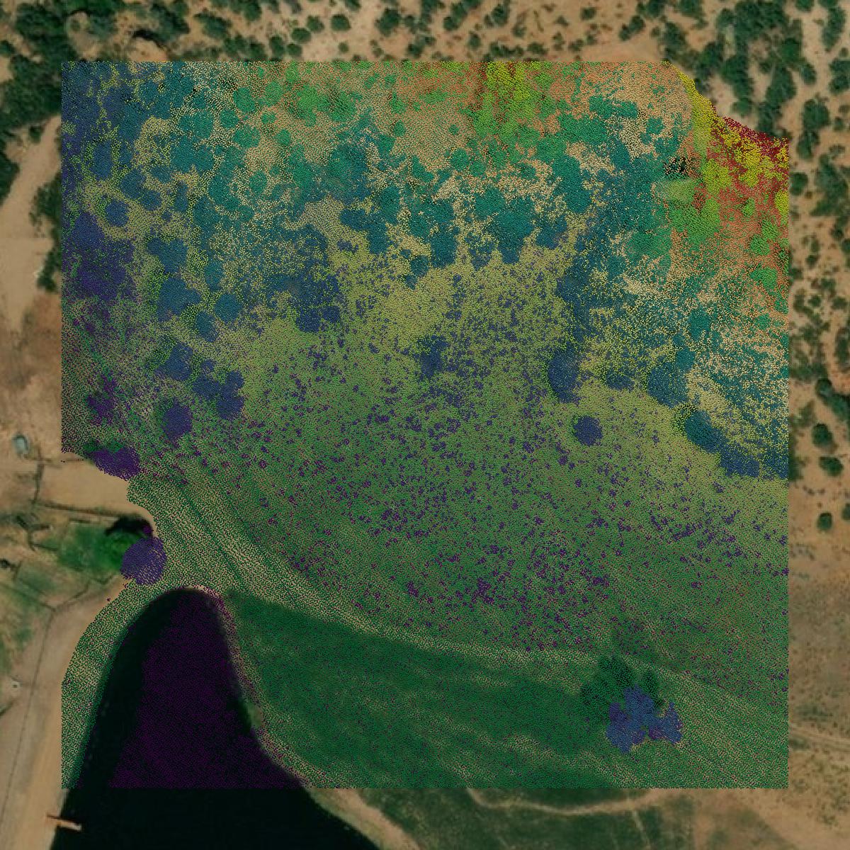 This image shows a LiDAR point cloud in Morgan County created using GIS data in Equator.