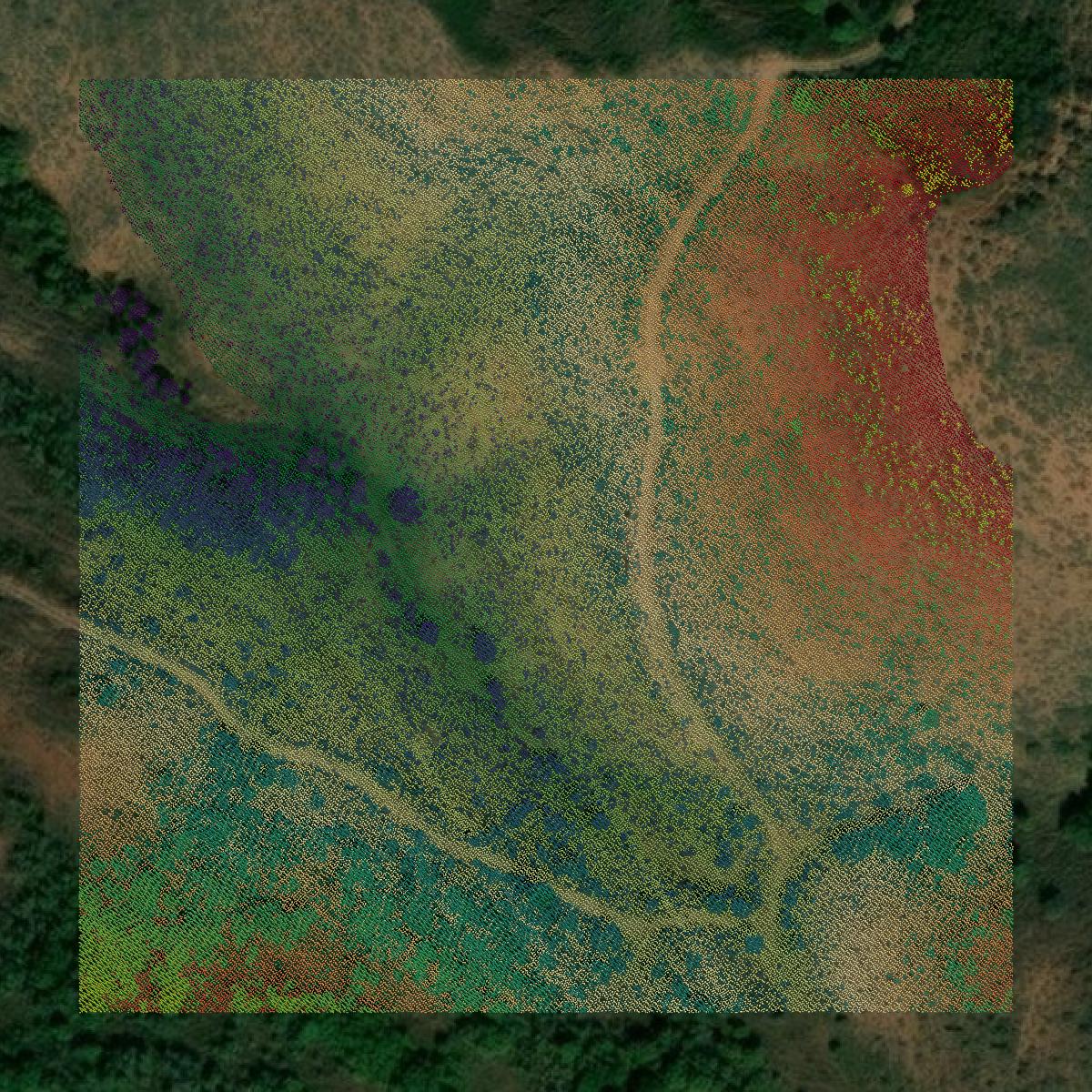 This image shows a LiDAR point cloud in Morgan County created using GIS data in Equator.