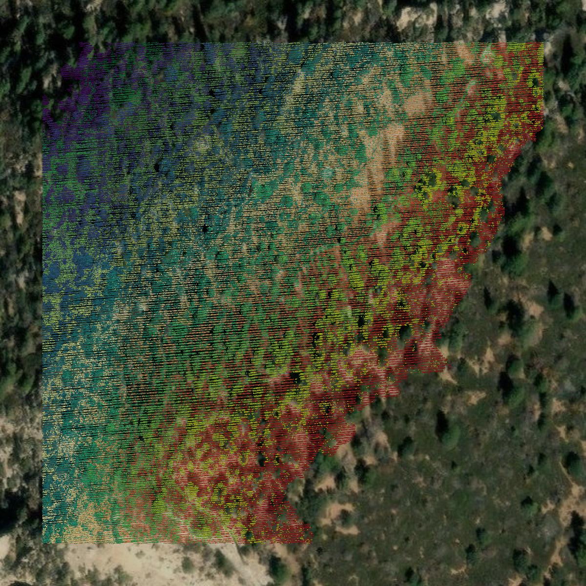 This image shows a LiDAR point cloud in San Juan County created using GIS data in Equator.
