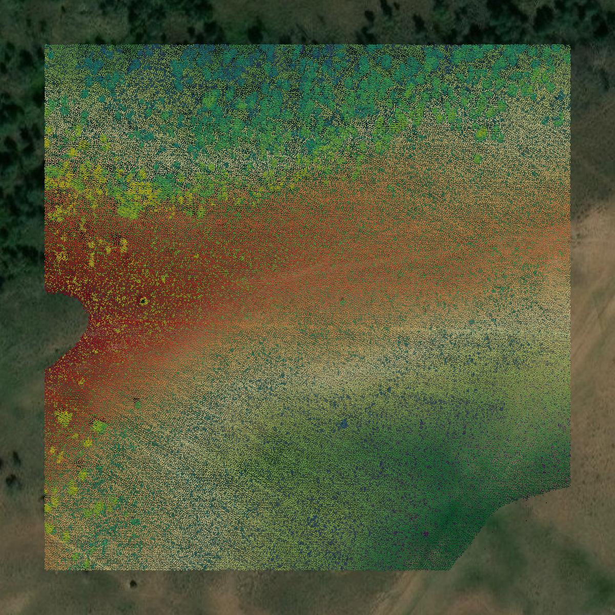 This image shows a LiDAR point cloud in Summit County created using GIS data in Equator.