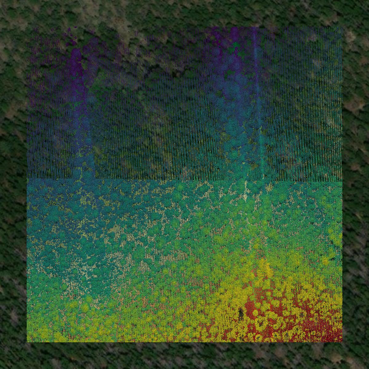 This image shows a LiDAR point cloud in Summit County created using GIS data in Equator.