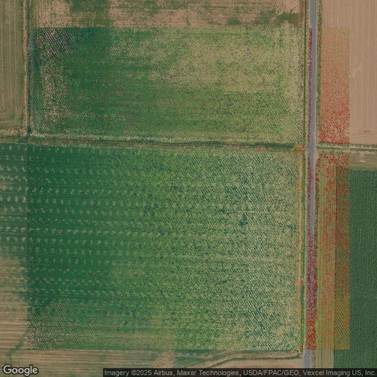 This image shows a LiDAR point cloud in Utah County created using GIS data in Equator.