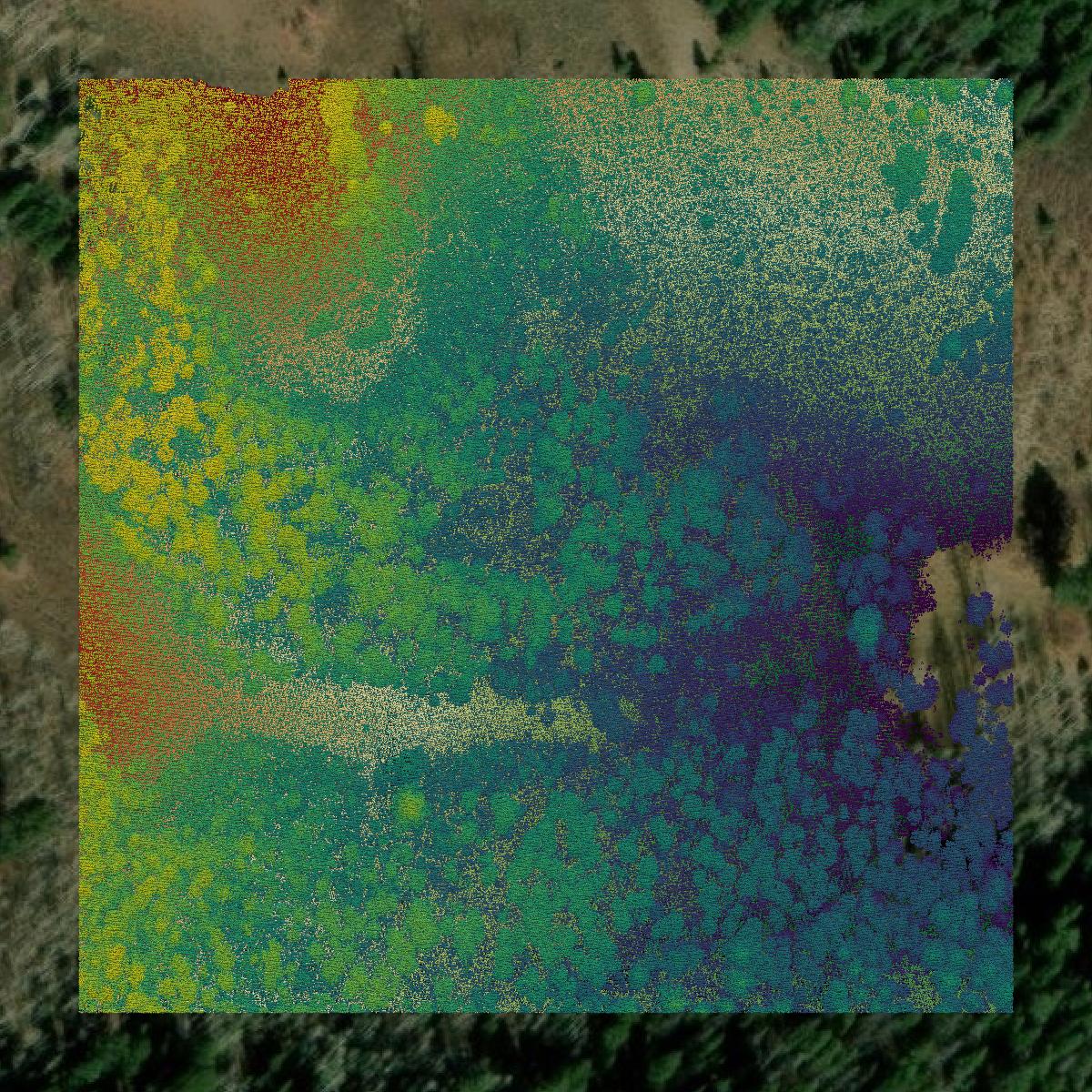 This image shows a LiDAR point cloud in Wasatch County created using GIS data in Equator.
