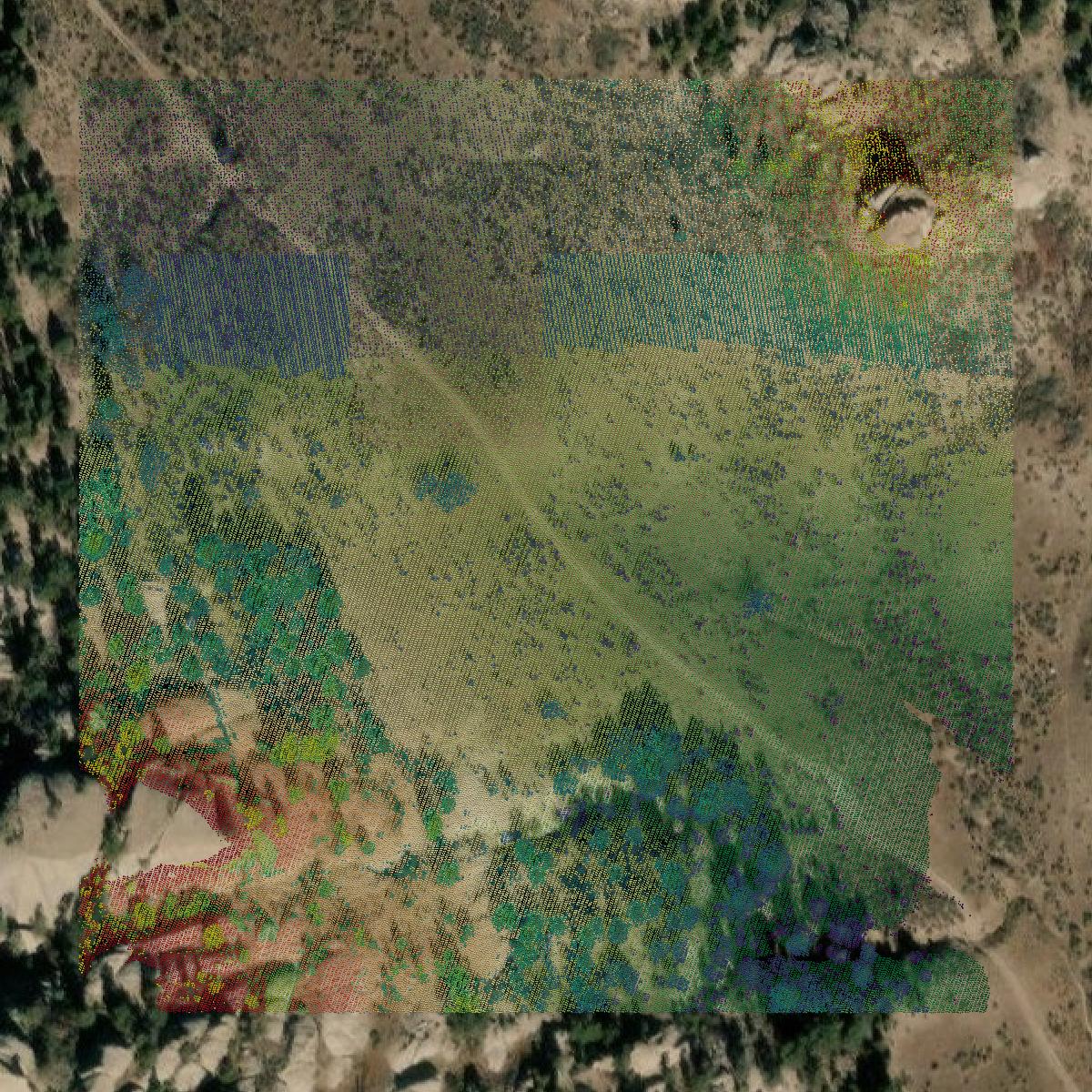 This image shows a LiDAR point cloud in Washington County created using GIS data in Equator.