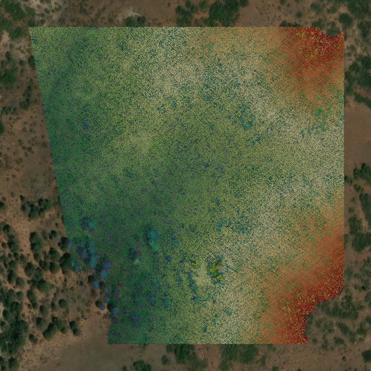 This image shows a LiDAR point cloud in Washington County created using GIS data in Equator.