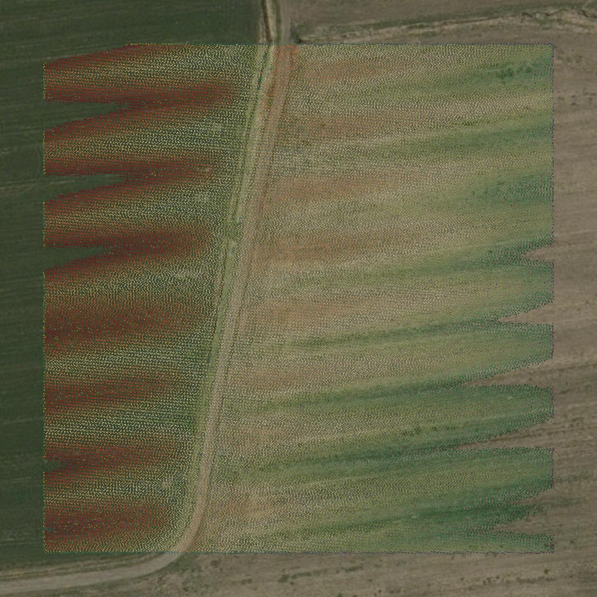 This image shows a LiDAR point cloud in Addison County created using GIS data in Equator.