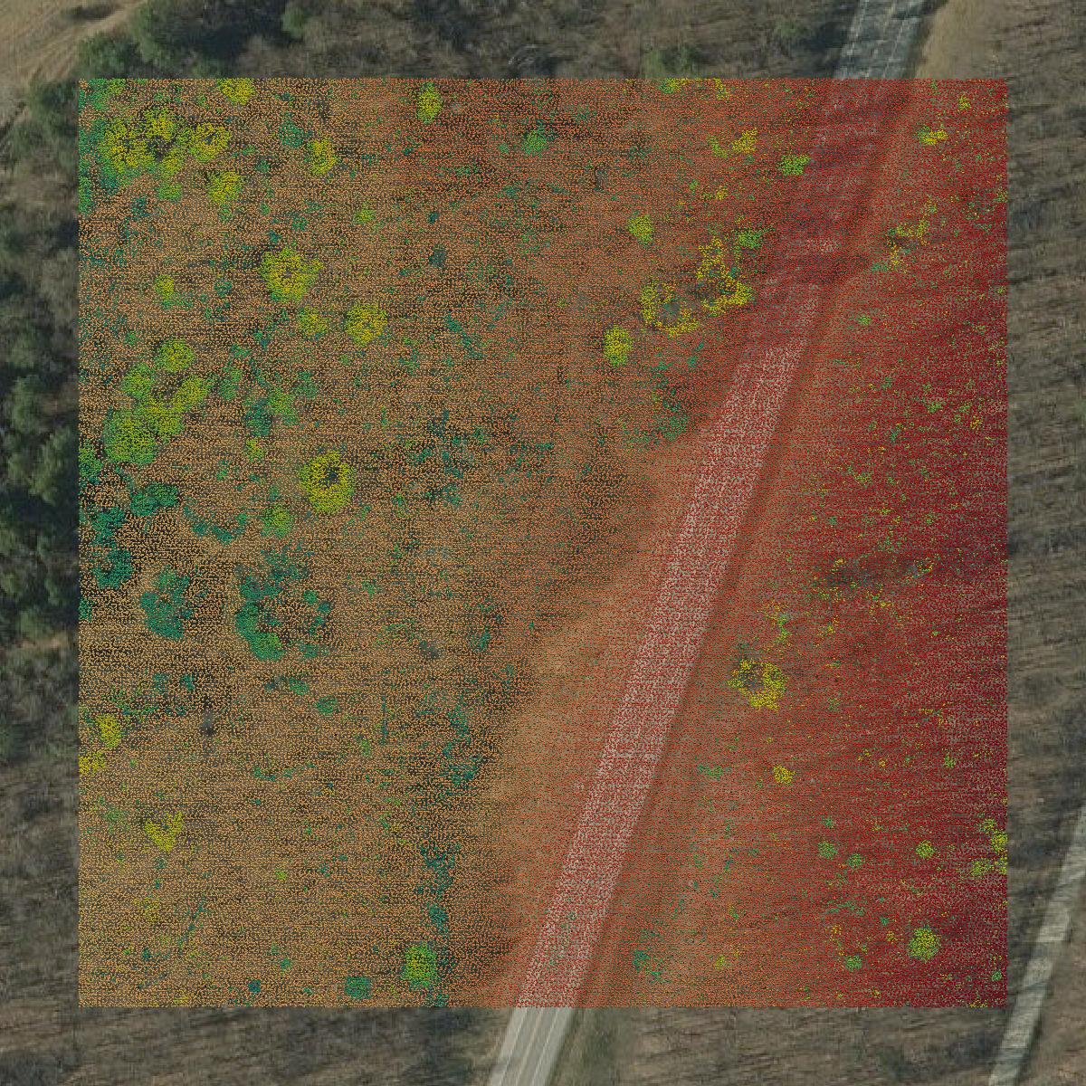 This image shows a LiDAR point cloud in Bennington County created using GIS data in Equator.