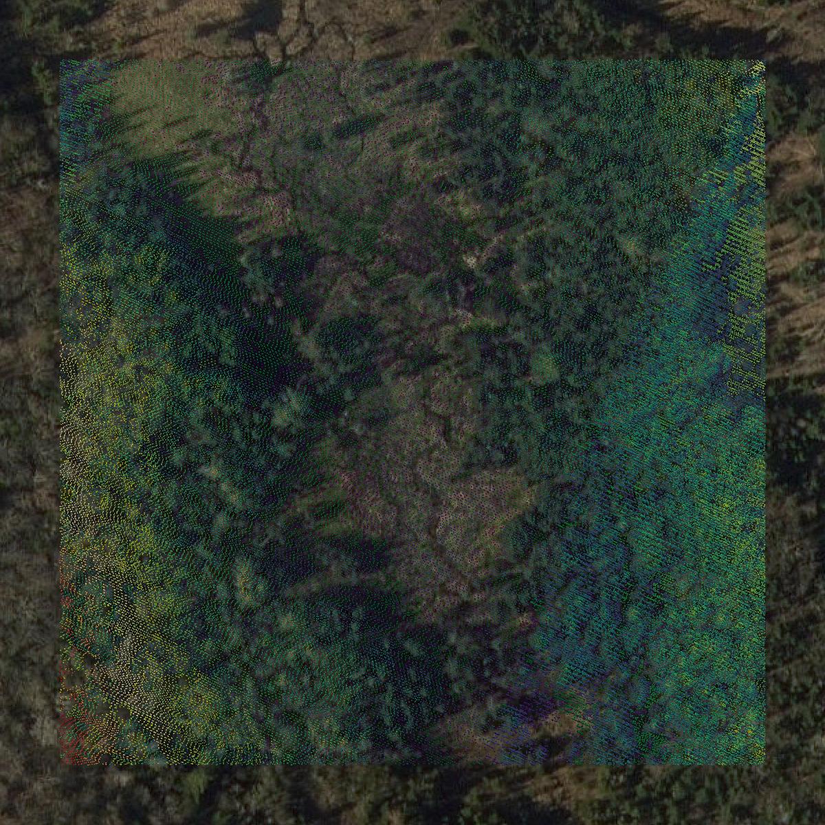 This image shows a LiDAR point cloud in Caledonia County created using GIS data in Equator.