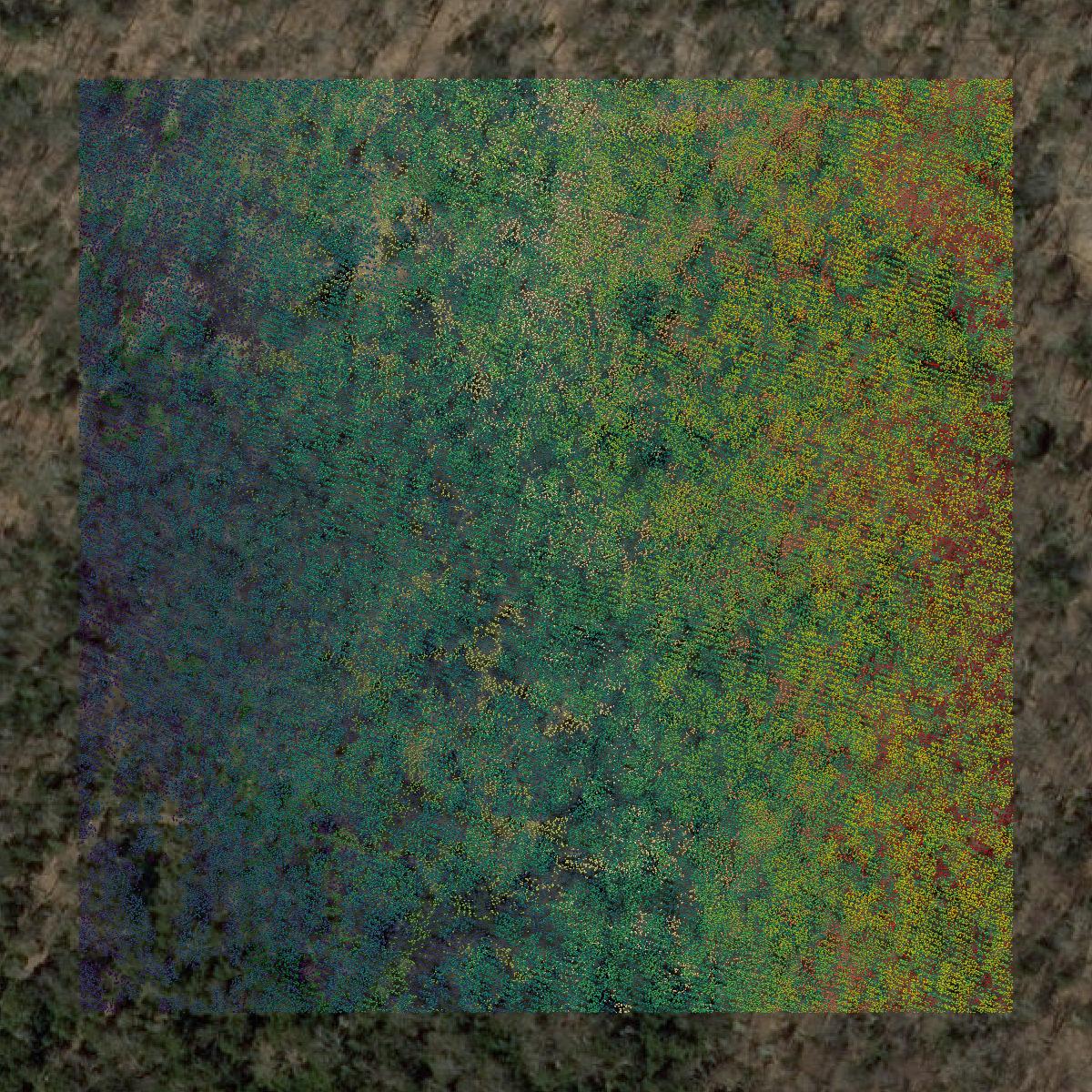 This image shows a LiDAR point cloud in Caledonia County created using GIS data in Equator.