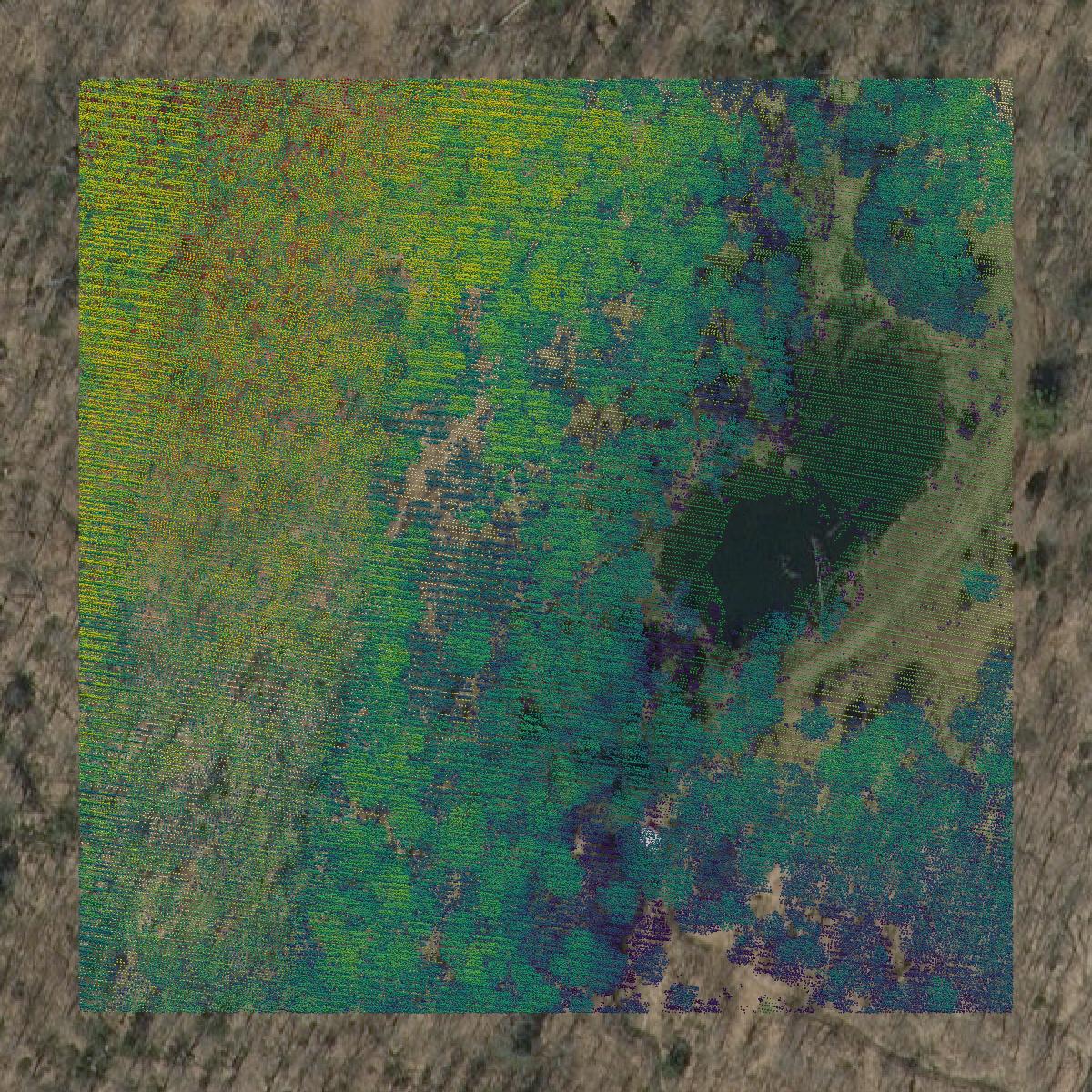 This image shows a LiDAR point cloud in Chittenden County created using GIS data in Equator.