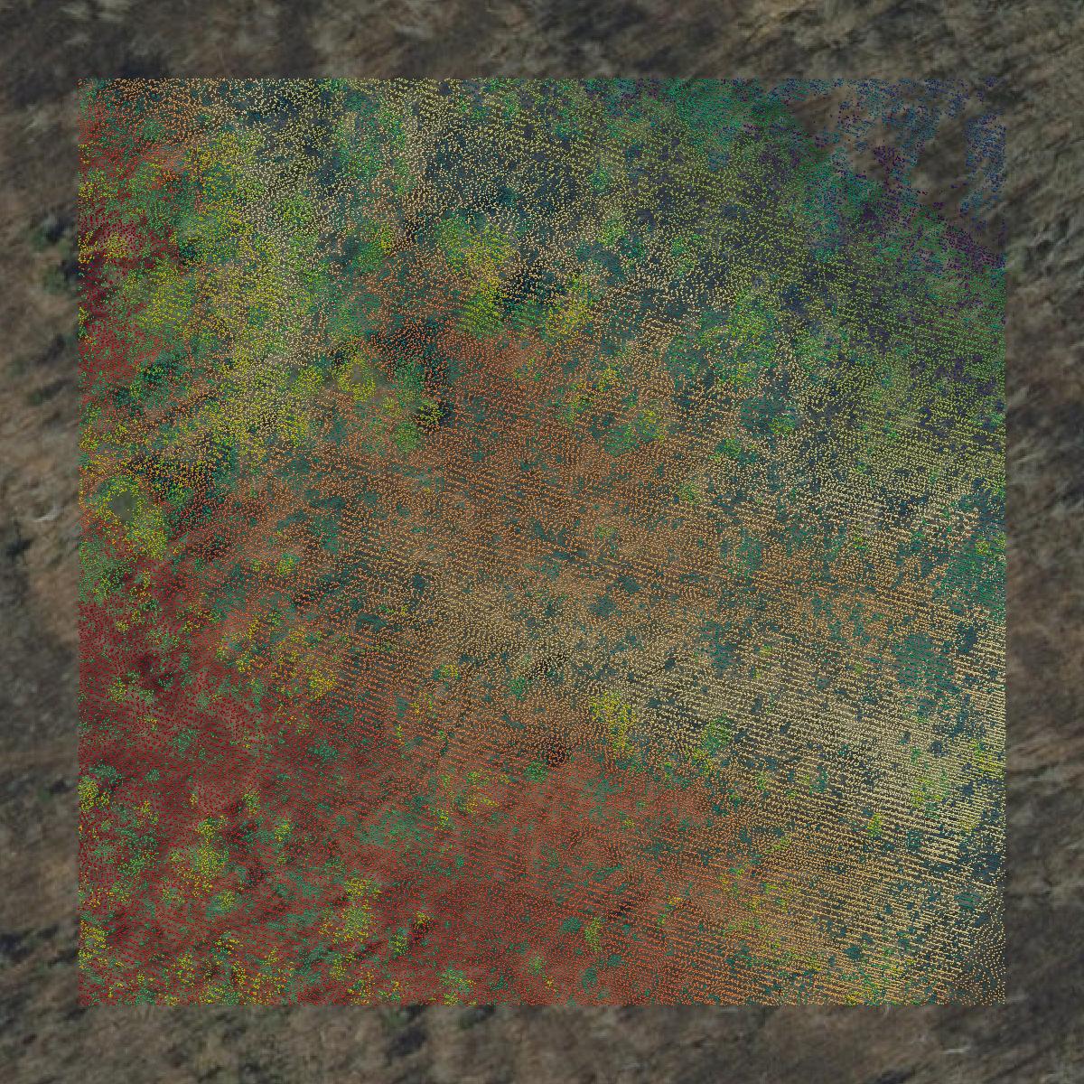 This image shows a LiDAR point cloud in Essex County created using GIS data in Equator.