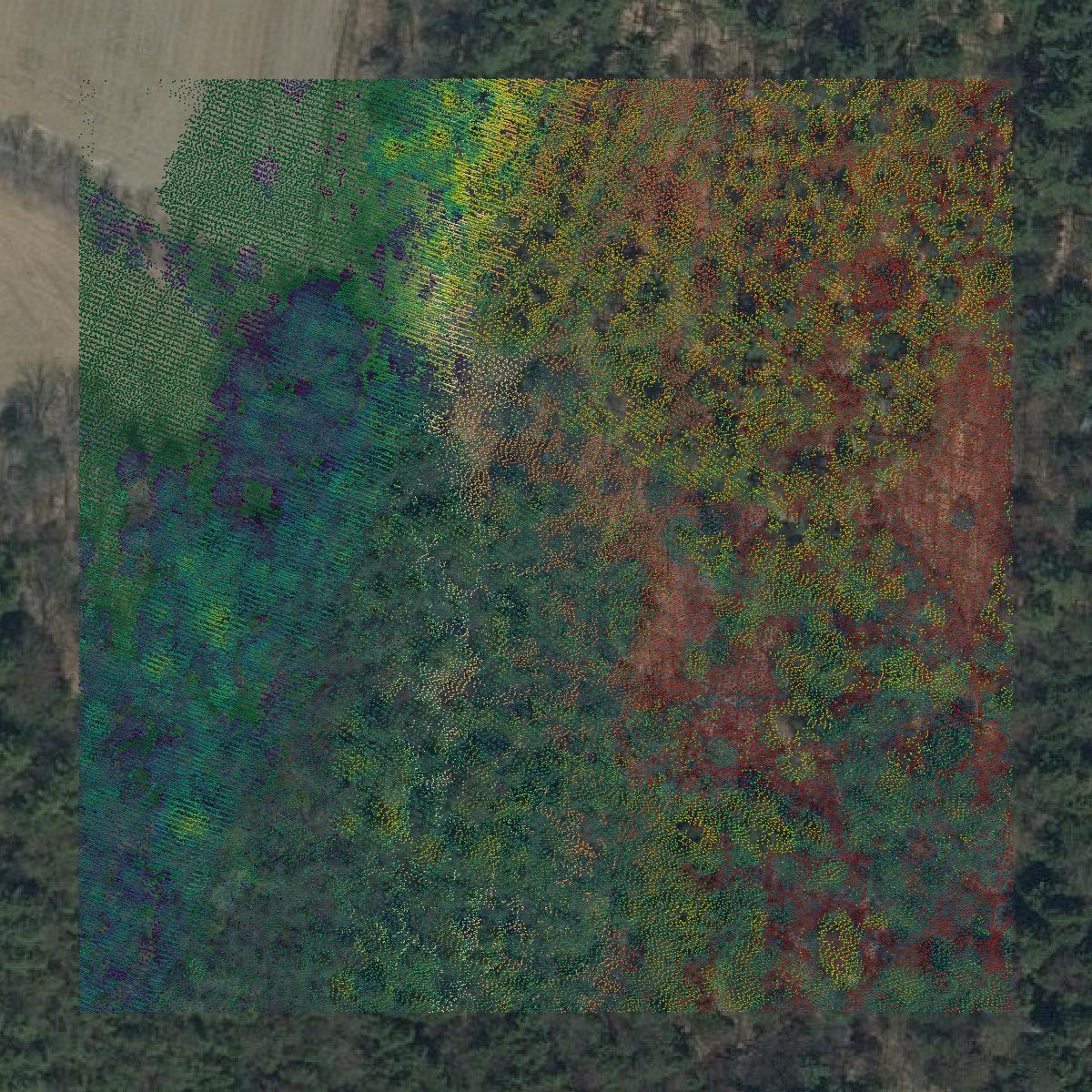 This image shows a LiDAR point cloud in Franklin County created using GIS data in Equator.