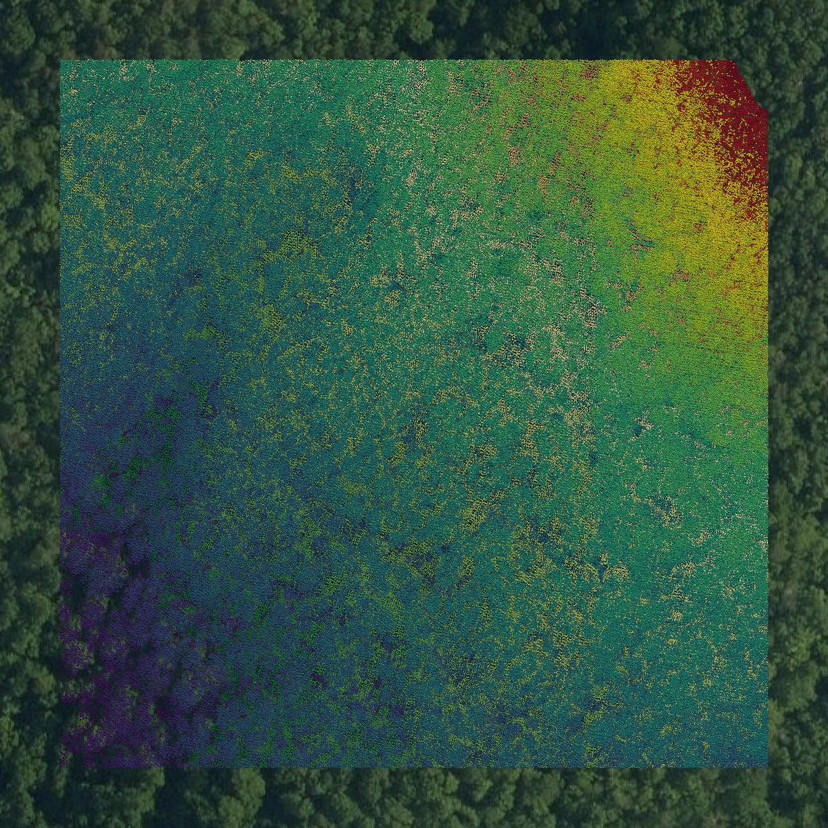 This image shows a LiDAR point cloud in Franklin County created using GIS data in Equator.