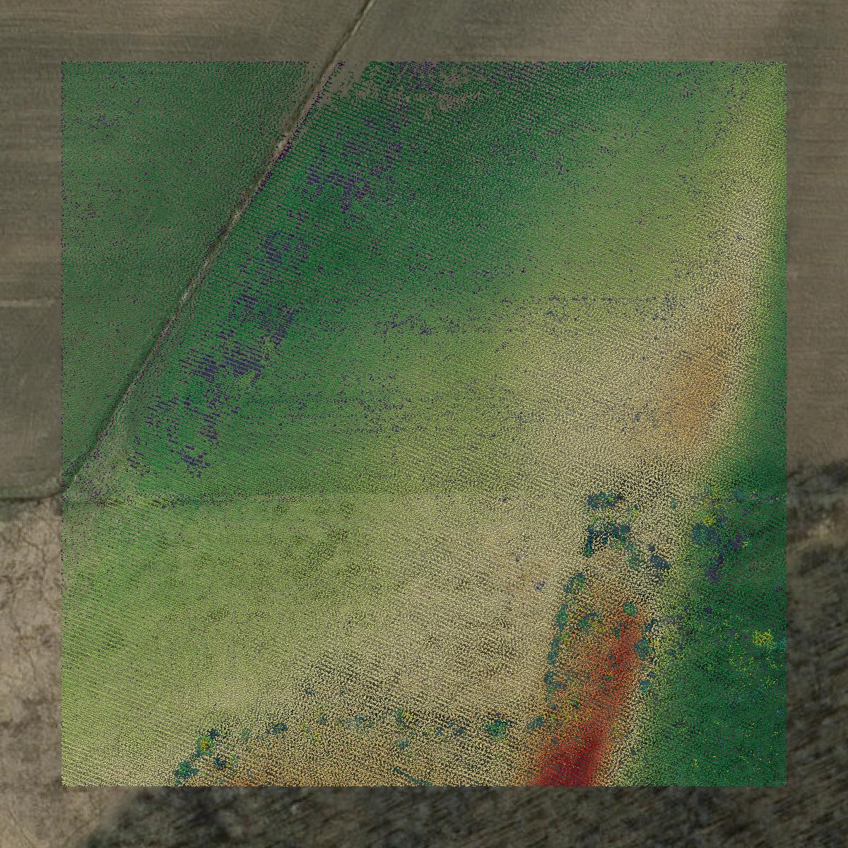 This image shows a LiDAR point cloud in Grand Isle County created using GIS data in Equator.