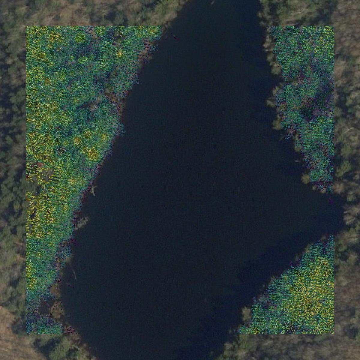 This image shows a LiDAR point cloud in Lamoille County created using GIS data in Equator.