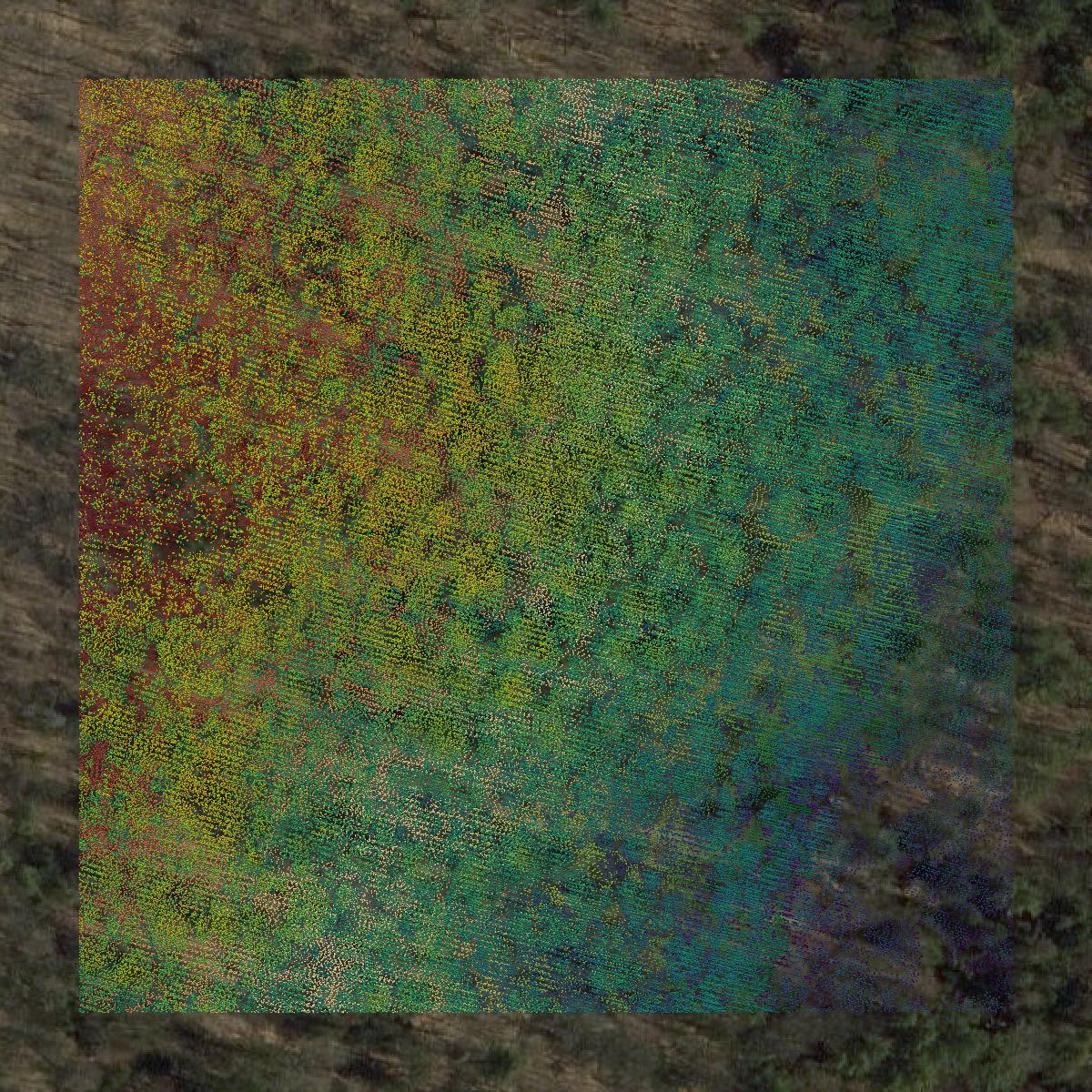 This image shows a LiDAR point cloud in Orange County created using GIS data in Equator.