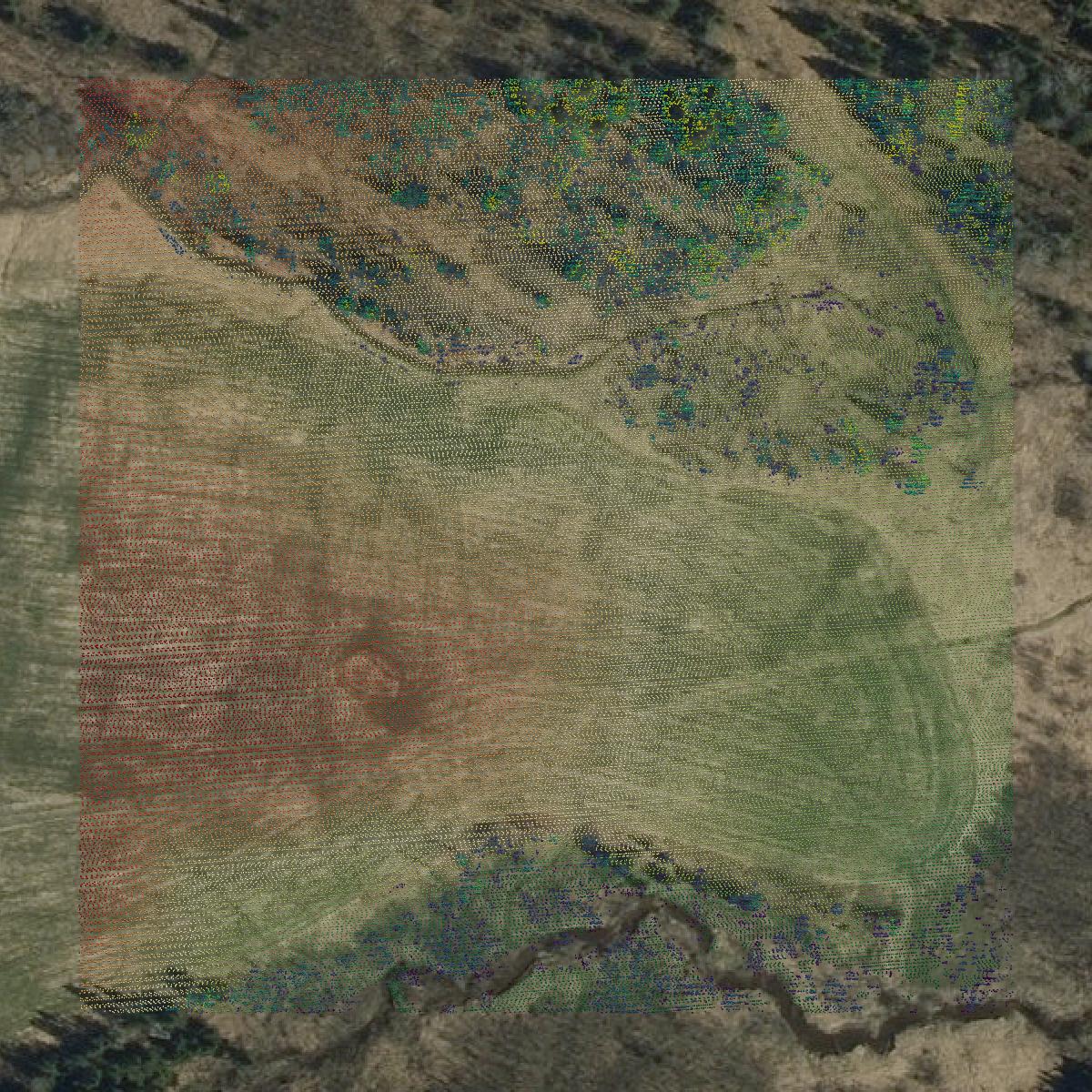 This image shows a LiDAR point cloud in Orleans County created using GIS data in Equator.