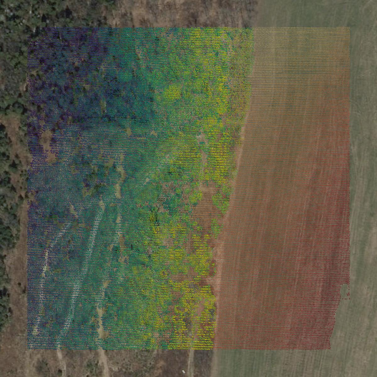 This image shows a LiDAR point cloud in Orleans County created using GIS data in Equator.
