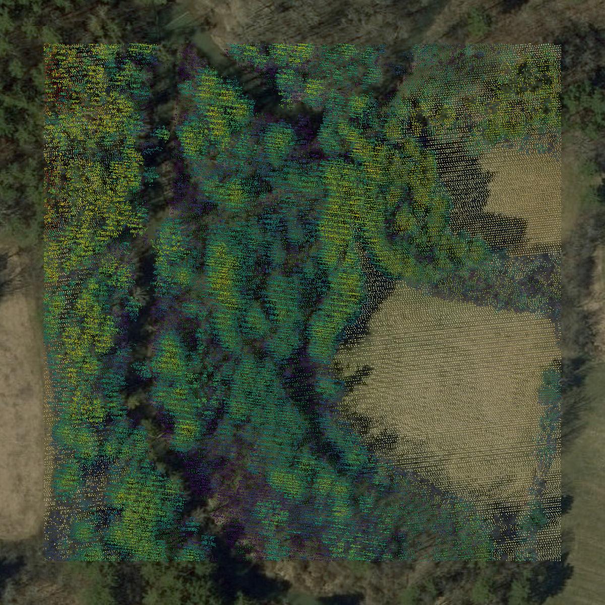 This image shows a LiDAR point cloud in Rutland County created using GIS data in Equator.
