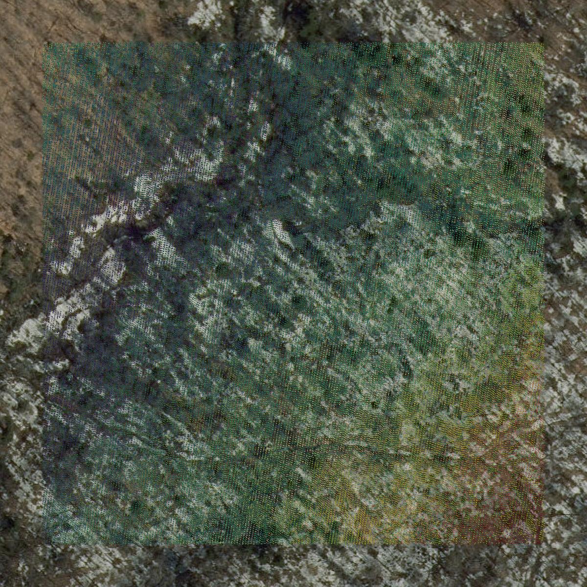 This image shows a LiDAR point cloud in Rutland County created using GIS data in Equator.