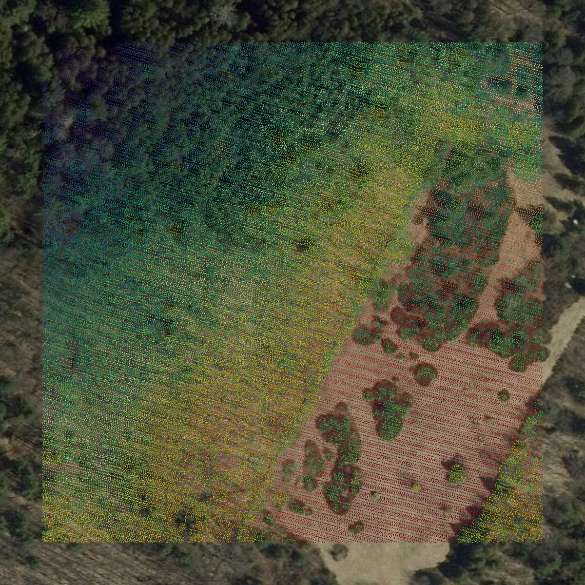 This image shows a LiDAR point cloud in Washington County created using GIS data in Equator.