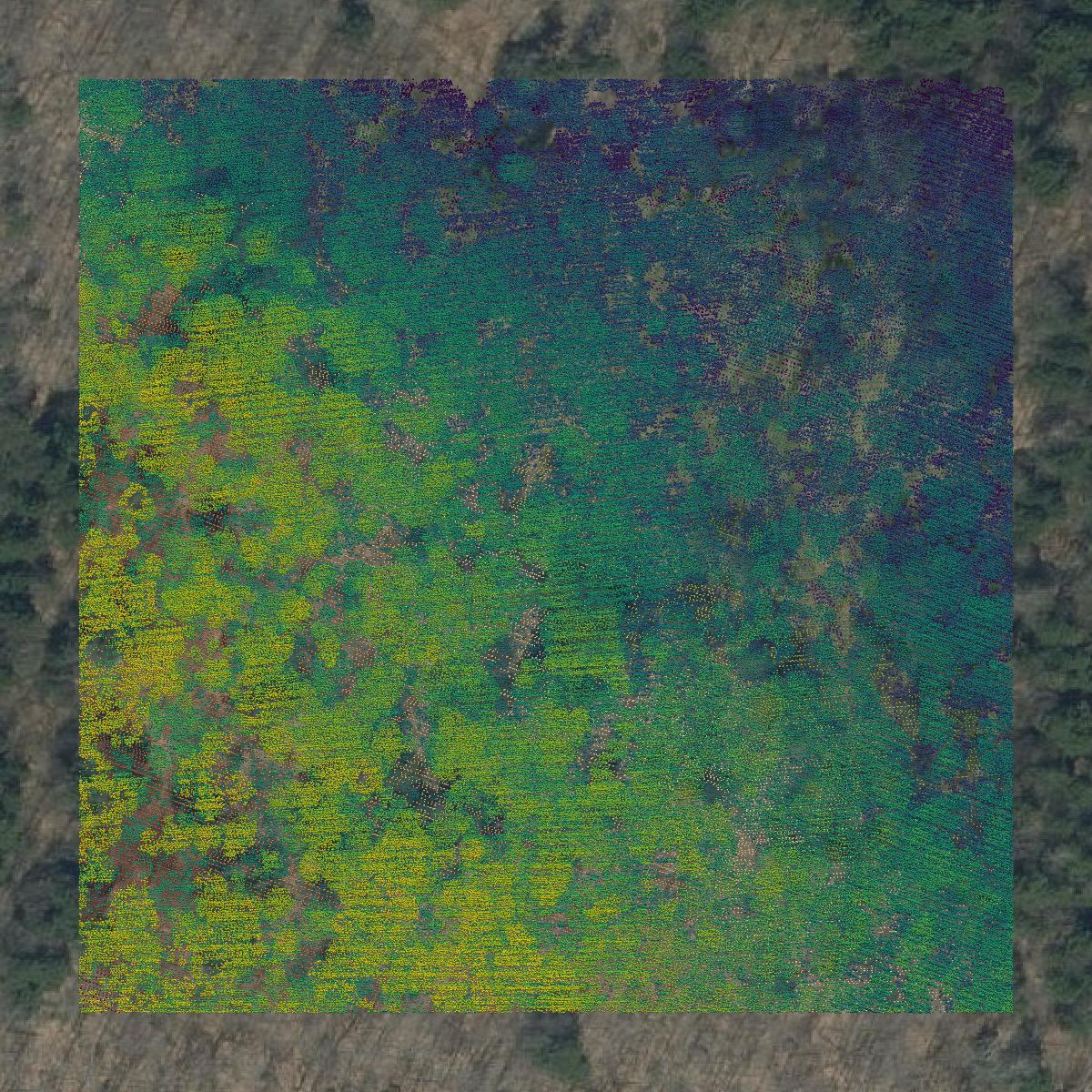 This image shows a LiDAR point cloud in Washington County created using GIS data in Equator.