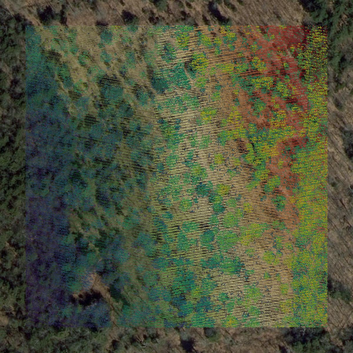 This image shows a LiDAR point cloud in Windham County created using GIS data in Equator.
