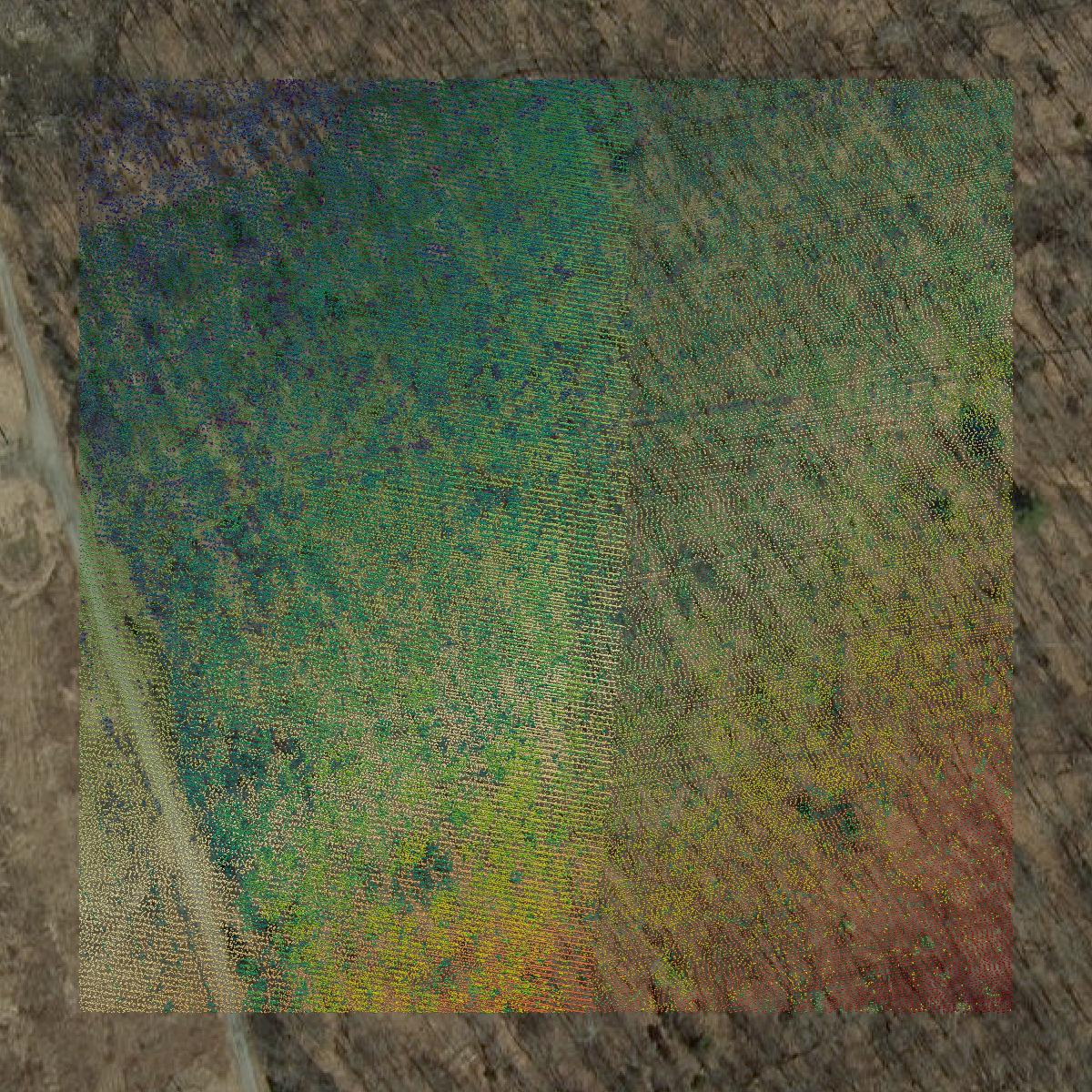 This image shows a LiDAR point cloud in Windham County created using GIS data in Equator.