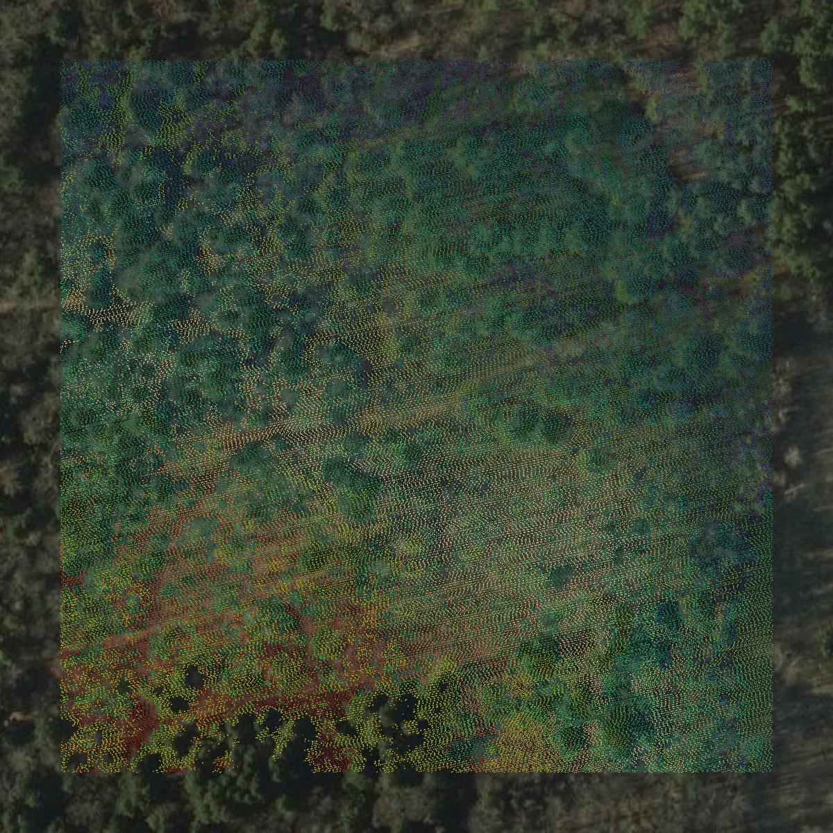 This image shows a LiDAR point cloud in Windsor County created using GIS data in Equator.