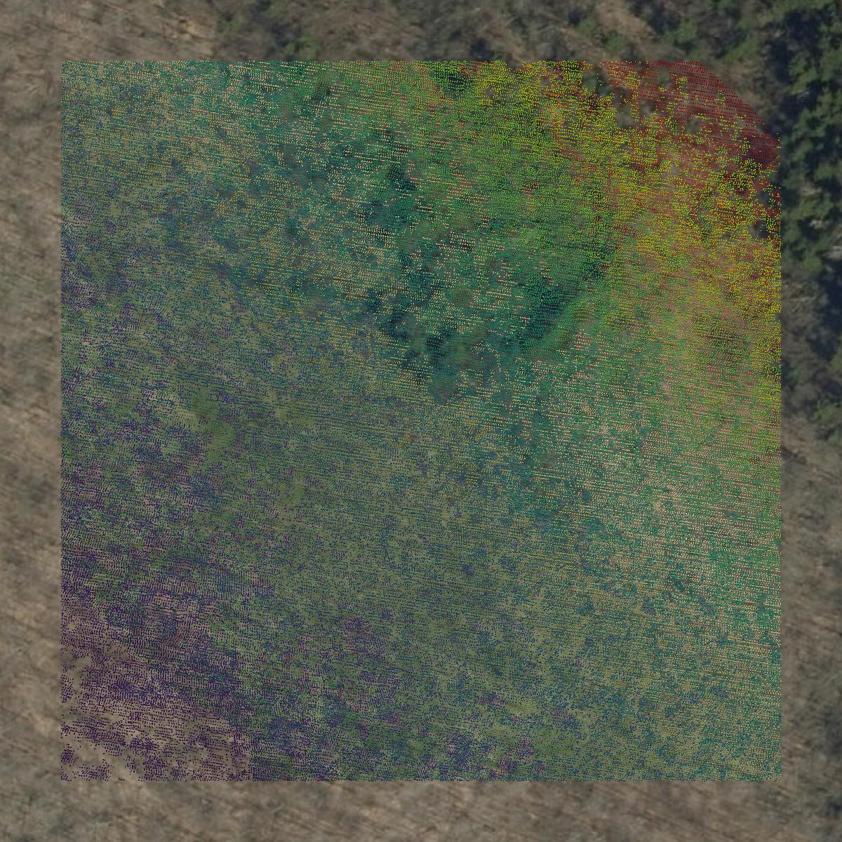 This image shows a LiDAR point cloud in Windsor County created using GIS data in Equator.