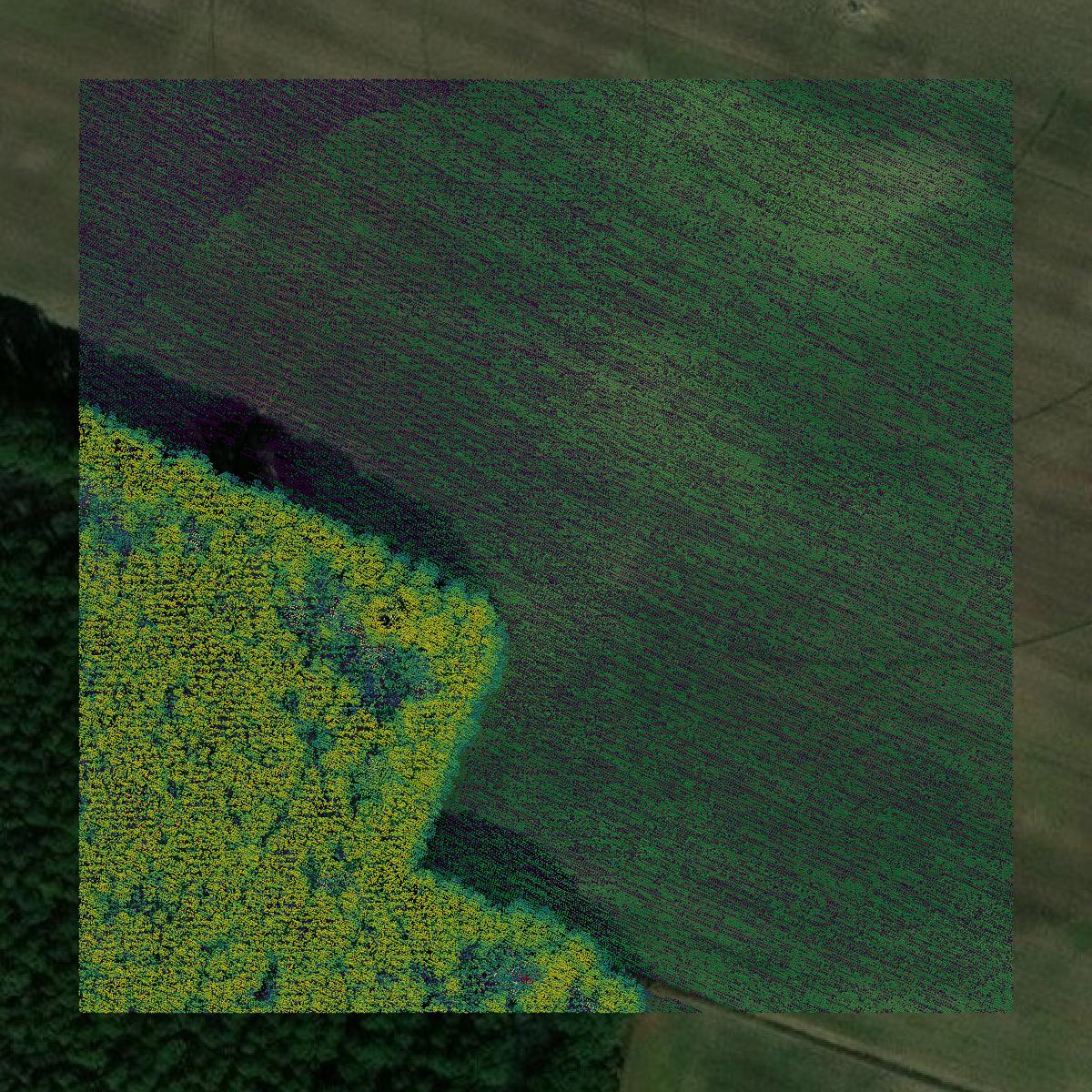 This image shows a LiDAR point cloud in Accomack County created using GIS data in Equator.