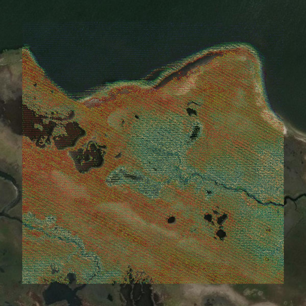 This image shows a LiDAR point cloud in Accomack County created using GIS data in Equator.