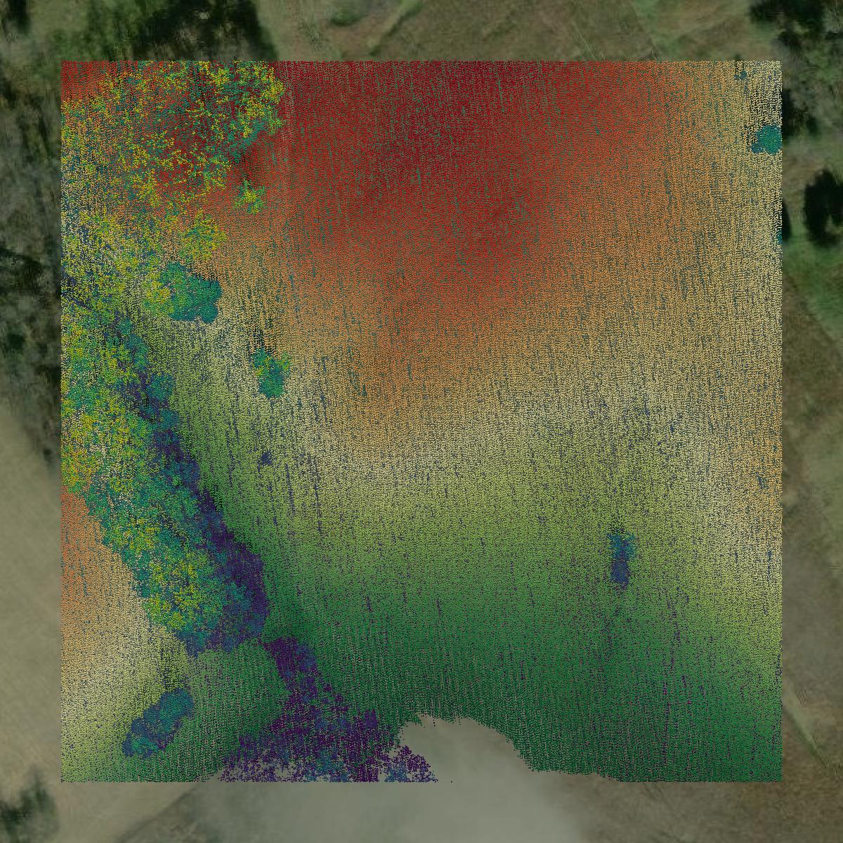This image shows a LiDAR point cloud in Albemarle County created using GIS data in Equator.