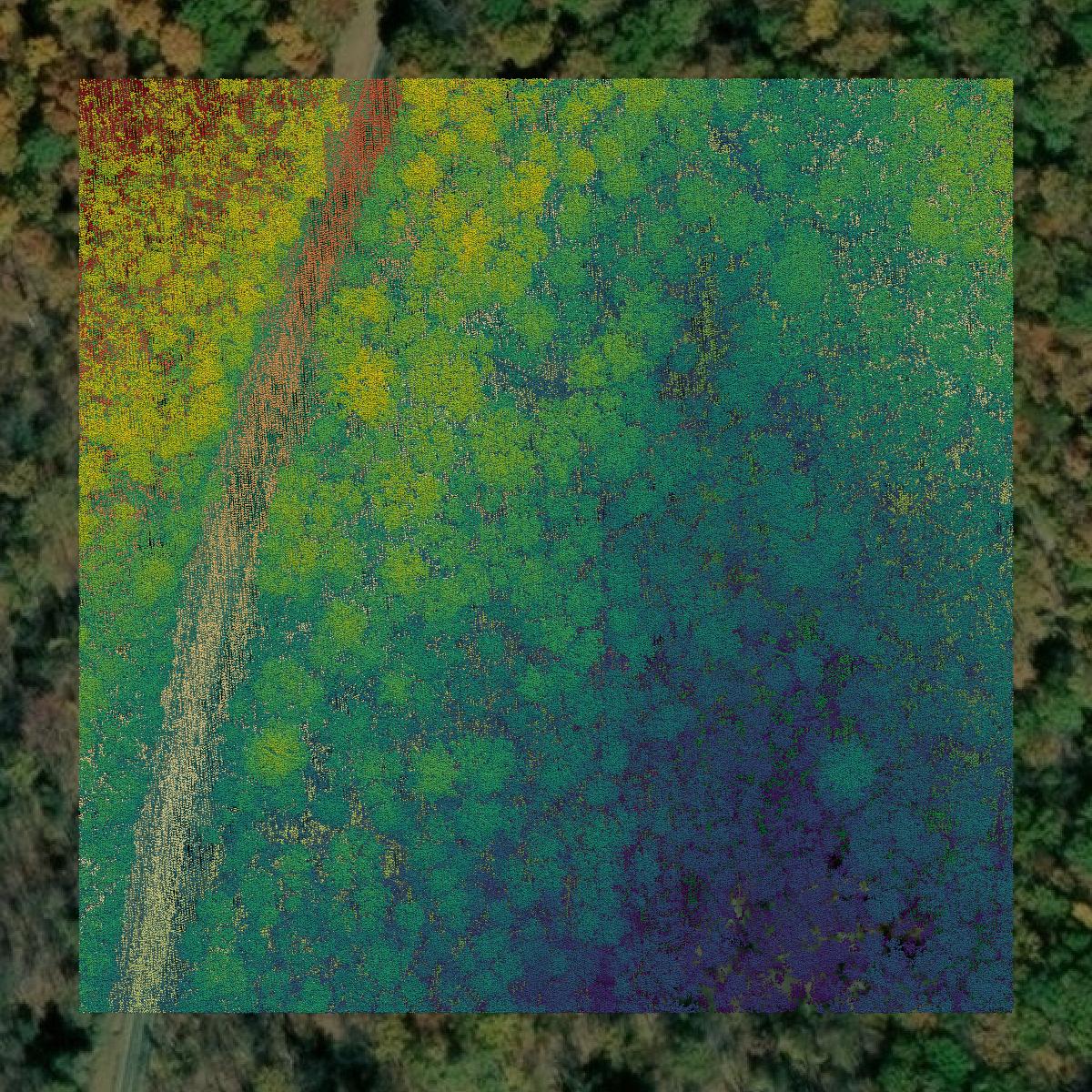 This image shows a LiDAR point cloud in Albemarle County created using GIS data in Equator.