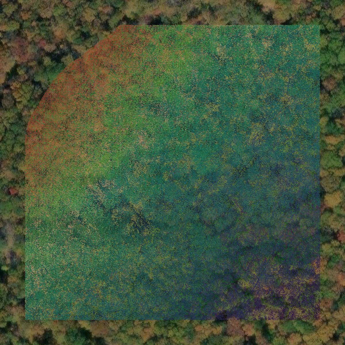 This image shows a LiDAR point cloud in Alleghany County created using GIS data in Equator.