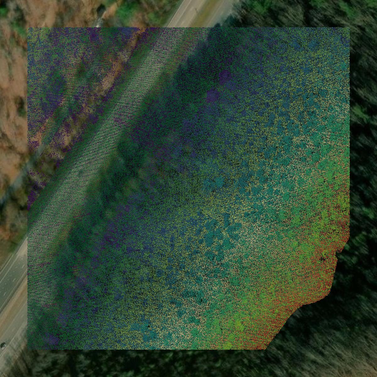 This image shows a LiDAR point cloud in Alleghany County created using GIS data in Equator.